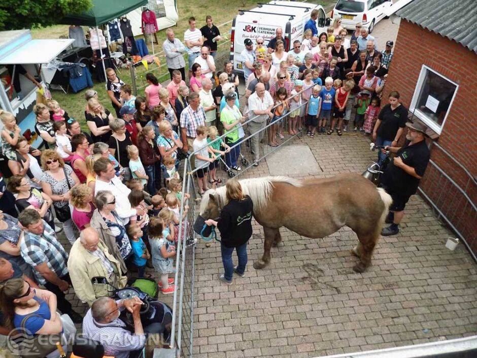 Open Dag 20 Jarig Bestaan Paardenmelkerij De Lage Wierde Eemskrant