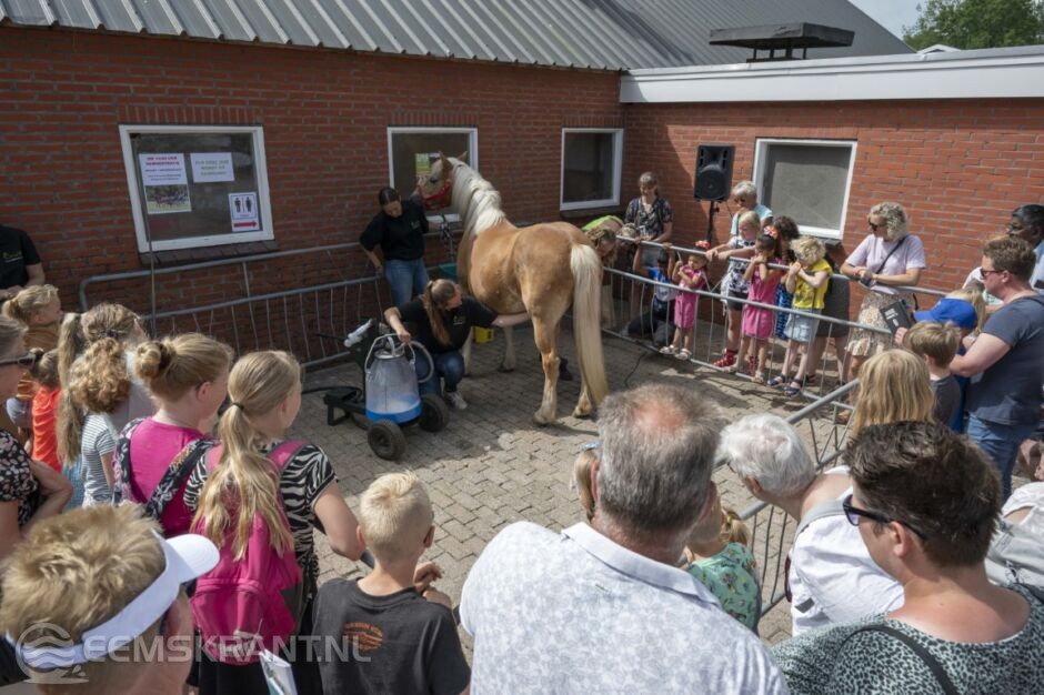 Open Dag Paardenmelkerij De Lage Wierde In Wirdum Eemskrant Nl