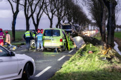 Boom-op-auto-Gereweg-Nieuwolda_0090