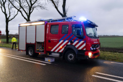 Boom-op-auto-Gereweg-Nieuwolda_0100