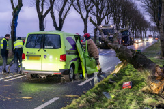 Boom-op-auto-Gereweg-Nieuwolda_0112