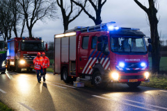 Boom-op-auto-Gereweg-Nieuwolda_0132