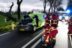 Boom-op-auto-Gereweg-Nieuwolda_0151