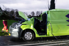 Boom-op-auto-Gereweg-Nieuwolda_0202