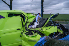 Boom-op-auto-Gereweg-Nieuwolda_0263