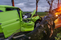 Boom-op-auto-Gereweg-Nieuwolda_0286