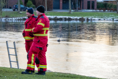 Loop-eend-op-het-ijs-Meedensingel-Appingedam_4305