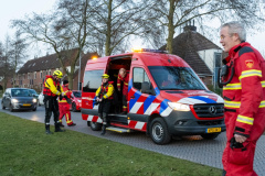 Loop-eend-op-het-ijs-Meedensingel-Appingedam_4328