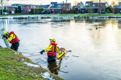 Loop-eend-op-het-ijs-Meedensingel-Appingedam_4361