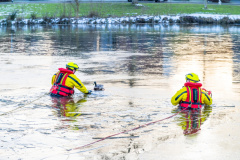 Loop-eend-op-het-ijs-Meedensingel-Appingedam_4387