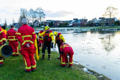 Loop-eend-op-het-ijs-Meedensingel-Appingedam_4452