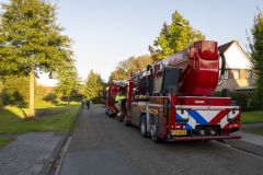 Kind-vast-in-boom-Zwanendrift-Delfzijl_2490