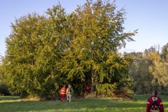 Kind-vast-in-boom-Zwanendrift-Delfzijl_2504