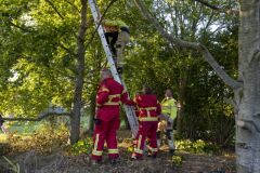 Kind-vast-in-boom-Zwanendrift-Delfzijl_2647