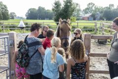 Open-manegedagen-Holwierde14