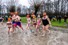 Nieuwjaarsduik-Wagenborgen_8637