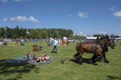 Paardendag-Uithuizen_6349