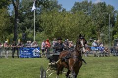 Paardendag-Uithuizen_6409