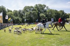 Paardendag-Uithuizen_6765