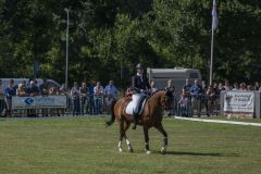 Paardendag-Uithuizen_7237