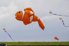 Vliegerfestival-strand-Delfzijl_0949