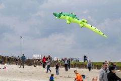 Vliegerfestival-strand-Delfzijl_1952