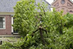 Zomerstorm-storm-Poly_1827