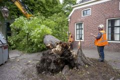 Zomerstorm-storm-Poly_1879