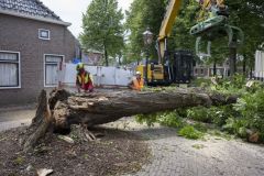 Zomerstorm-storm-Poly_1952