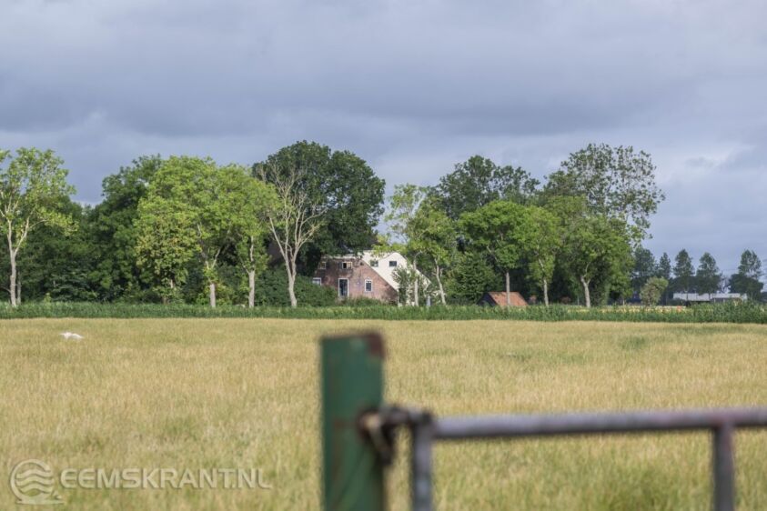 Municipality of Eemsdelta terminates contract with care farm in Holwierde – Eemskrant.nl